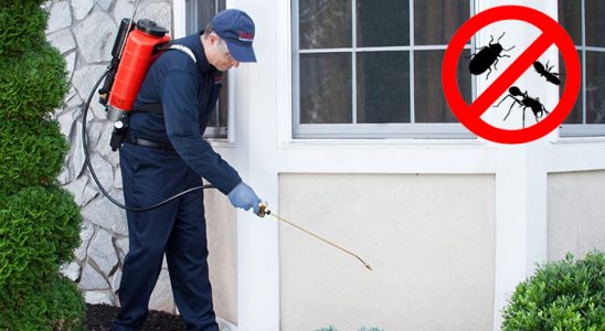 Gebze Kemirgen İlaçlama böcek ilaçlama ve haşere kontrolü — ilaclama-tr.com